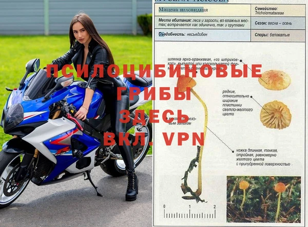 героин Абаза