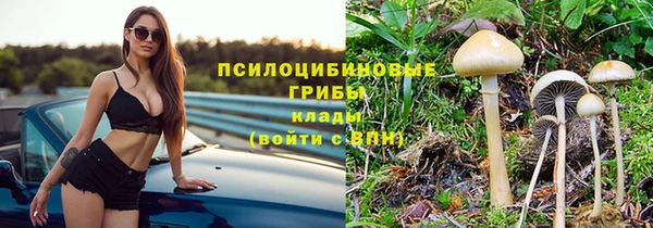мяу мяу мука Алзамай