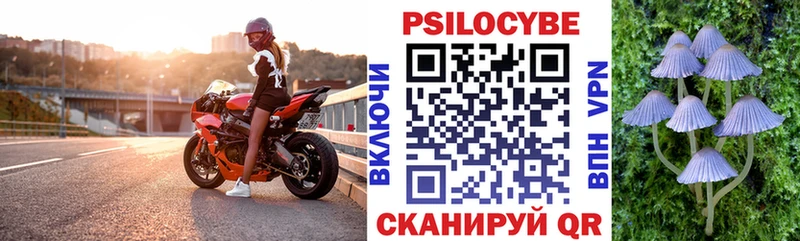 сколько стоит  МЕГА маркетплейс  Псилоцибиновые грибы Psilocybe  Кораблино 